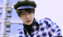 娱乐爆料王一博最新视频,精彩瞬间引粉丝热议