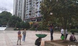 九龙小区爆料视频播放,揭秘社区生活点滴