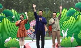 衡阳记者爆料案件视频最新,惊人内幕引发社会关注